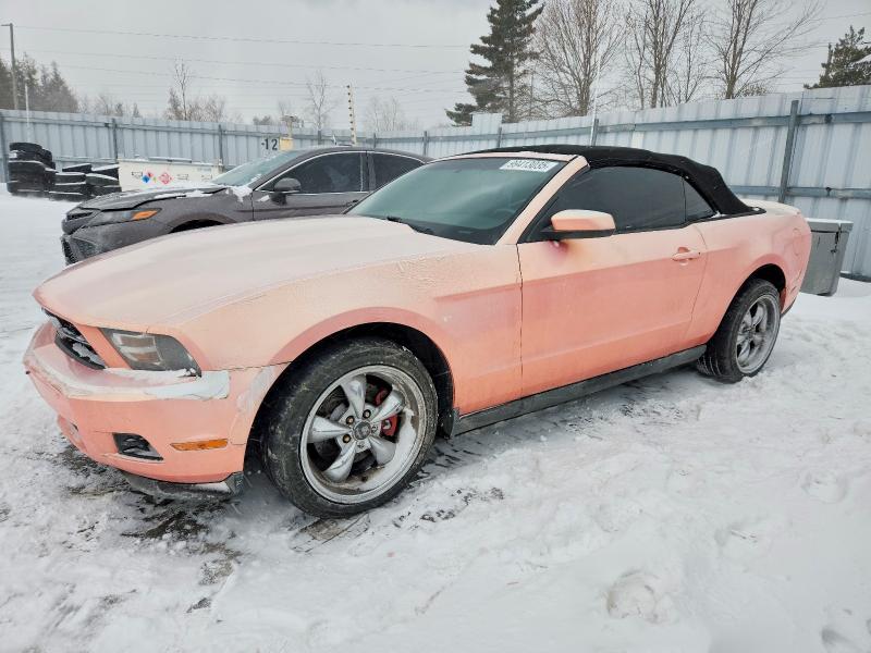 FORD MUSTANG 2011 with VIN 1ZVBP8EM8B5113034 - Photo from auction