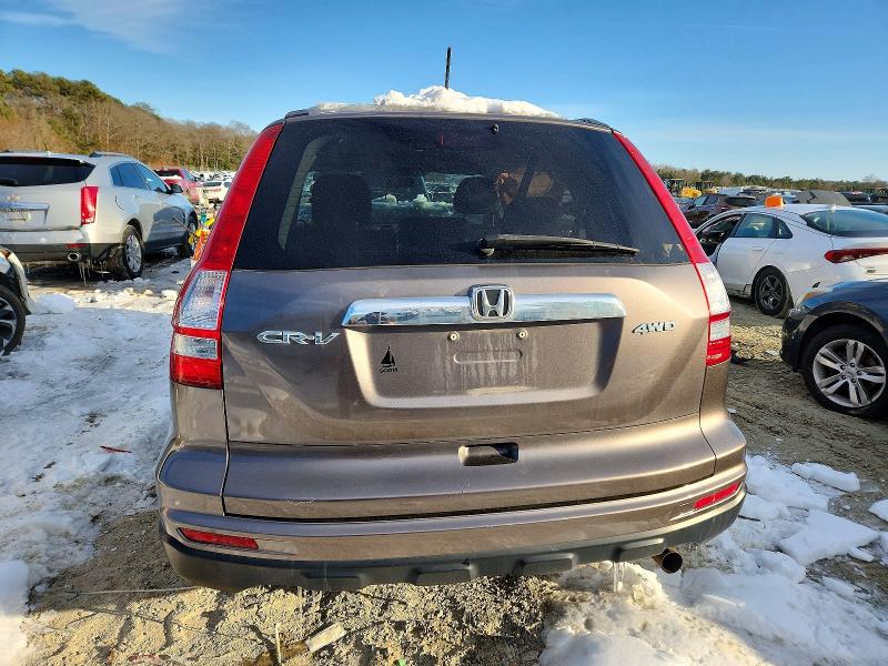 Photo 6 from auction – 2011 HONDA CR-V with VIN 5J6RE4H76BL122410