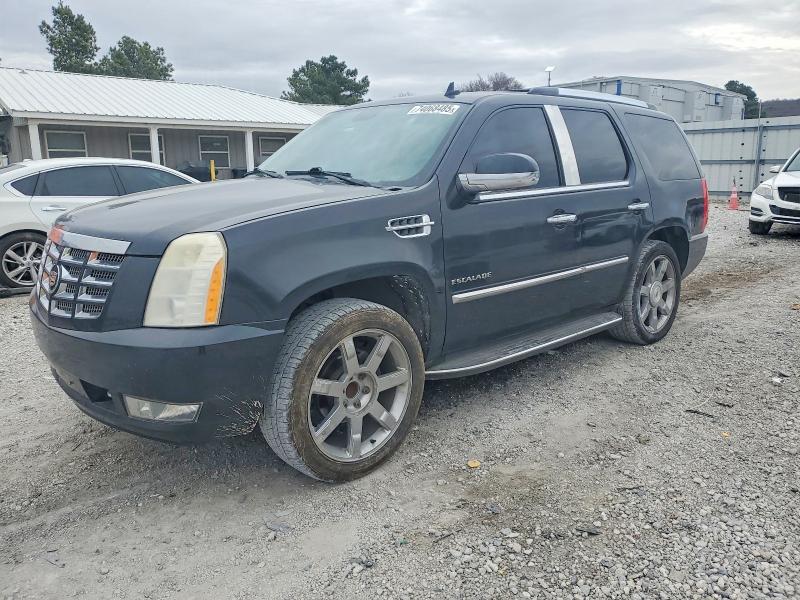 CADILLAC ESCALADE 2010 with VIN 1GYUCBEF1AR155729 - Photo from auction