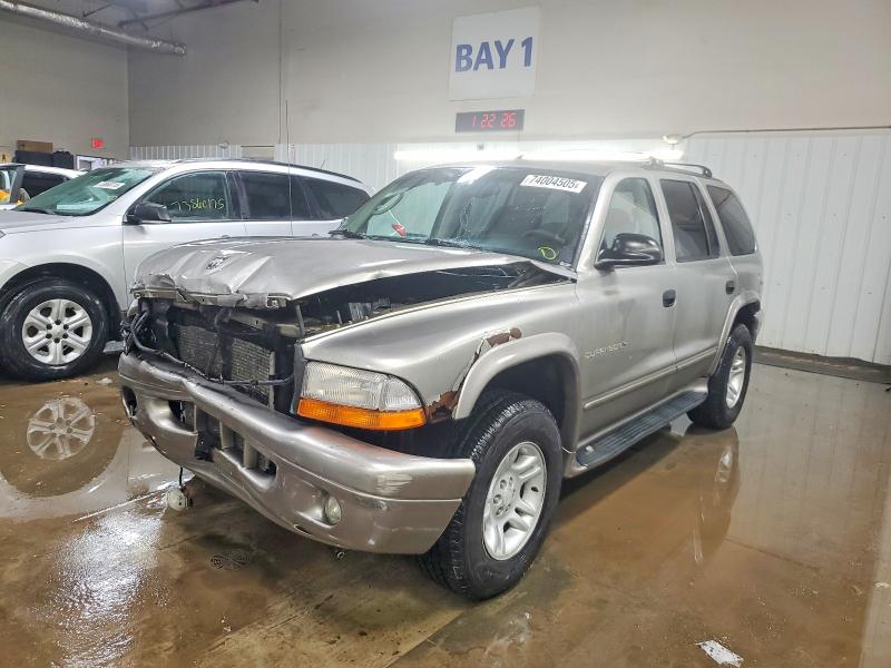 DODGE DURANGO 2001 with VIN 1B4HS28Z91F507230 - Photo from auction