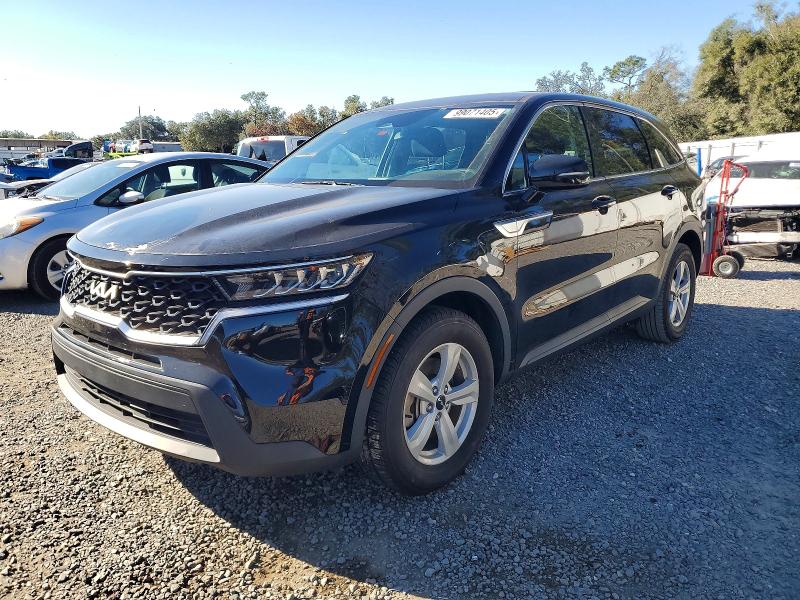 KIA SORENTO LX 2023 with VIN 5XYRG4LC6PG236110 - Photo from auction