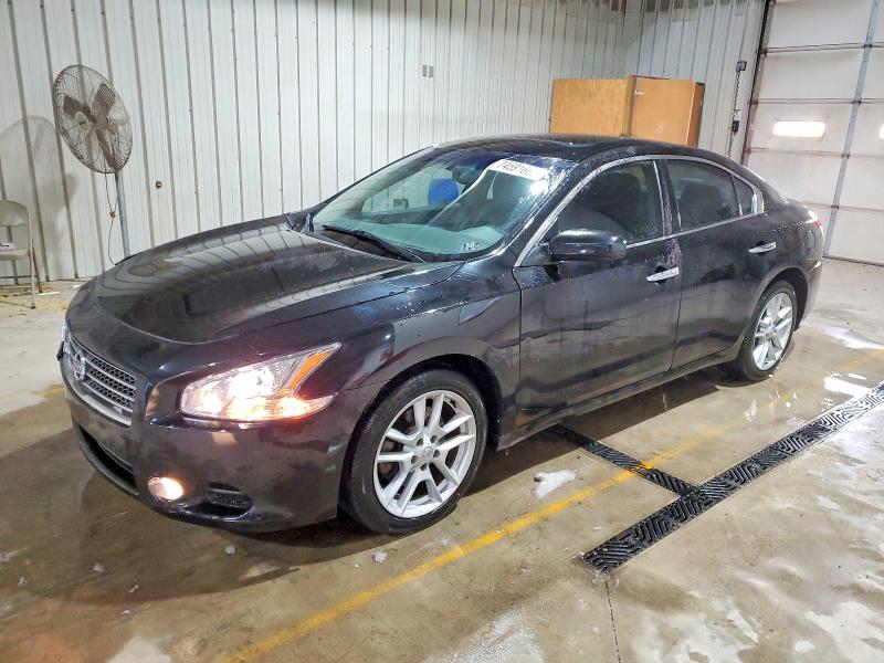 NISSAN MAXIMA S 2009 with VIN 1N4AA51E29C823393 - Photo from auction