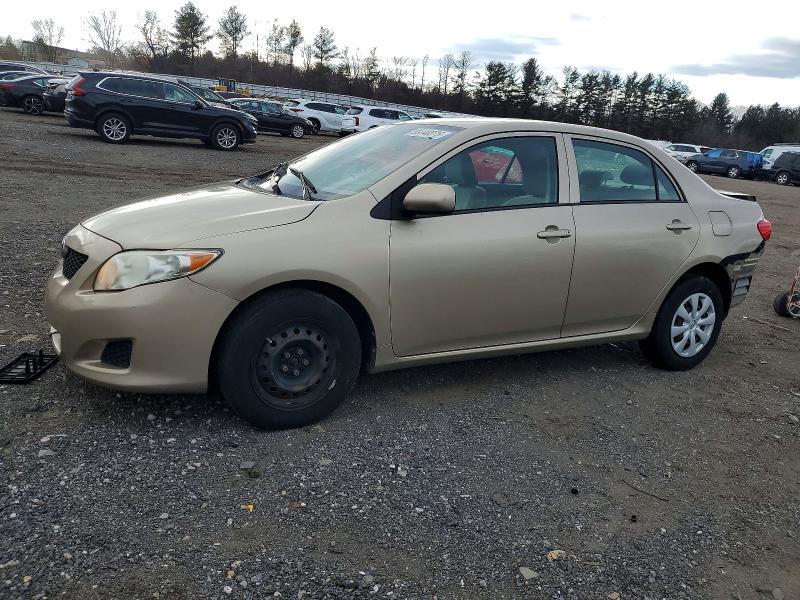 TOYOTA COROLLA BA 2010 with VIN 2T1BU4EE1AC282990 - Photo from auction