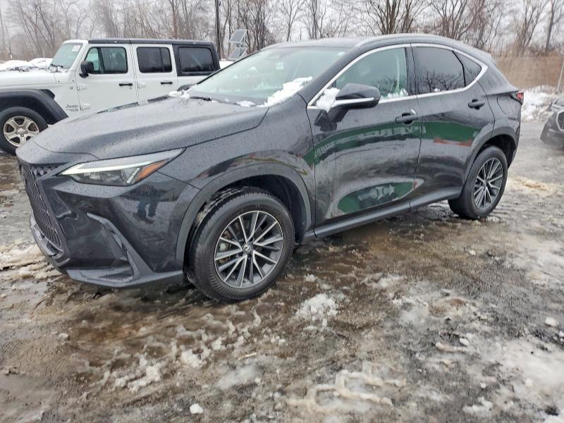 LEXUS NX 250 2023 with VIN 2T2ADCEZ2PC002992 - Photo from auction
