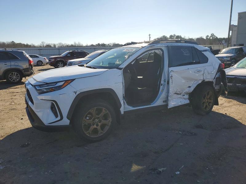 TOYOTA RAV4 WOODL 2023 with VIN 2T3UWRFV6PW155942 - Photo from auction