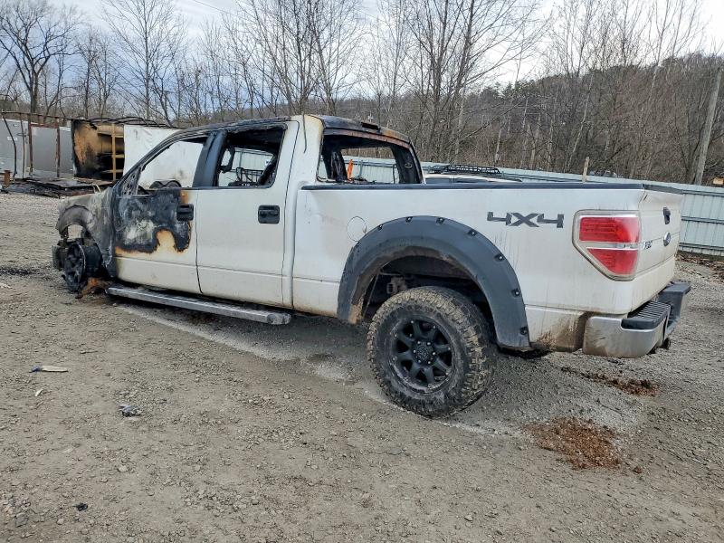 Photo 2 from auction – 2010 FORD F150 with VIN 1FTFW1E84AFA41971