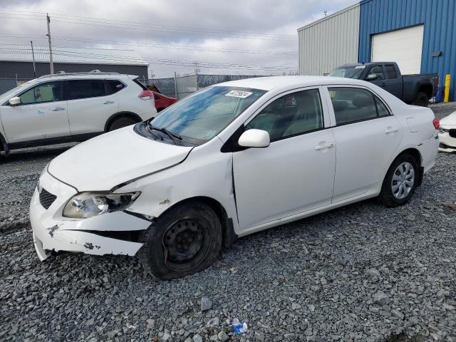 TOYOTA COROLLA BA 2010 with VIN 2T1BU4EE9AC323253 - Photo from auction