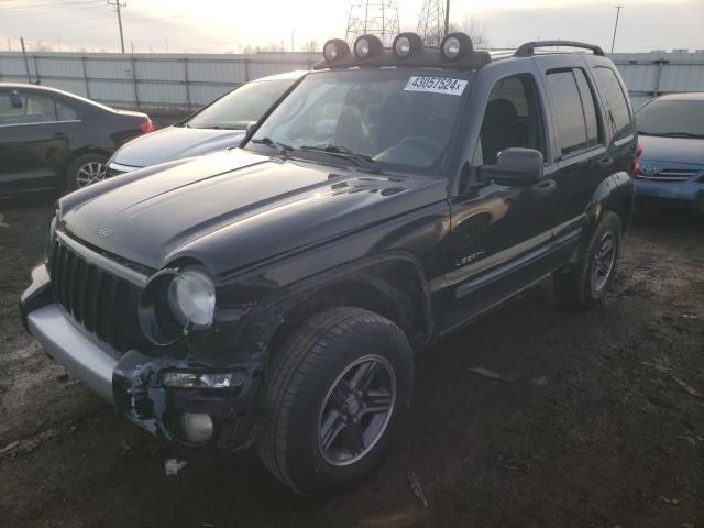 JEEP LIBERTY RE 2004 with VIN 1J4GL38K14W153576 - Photo from auction