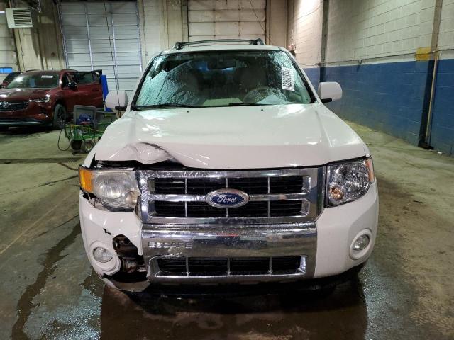Photo 5 from auction – 2010 FORD ESCAPE LIM with VIN 1FMCU9EG3AKB55297