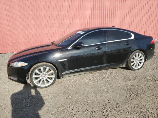 JAGUAR XF 2014 with VIN SAJXJ0EF8E8U33553 - Photo from auction