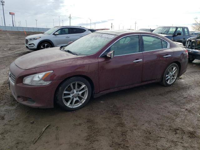 NISSAN MAXIMA S 2011 with VIN 1N4AA5AP8BC813250 - Photo from auction