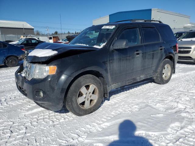 FORD ESCAPE XLT 2011 with VIN 1FMCU9DG6BKB06937 - Photo from auction
