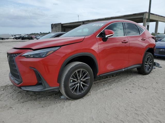 LEXUS NX 250 PRE 2024 with VIN 2T2GDCAZ3RC012563 - Photo from auction