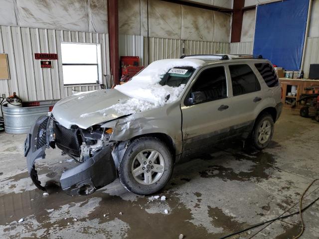 FORD ESCAPE HEV 2006 with VIN 1FMYU96H96KC63797 - Photo from auction