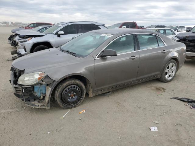 CHEVROLET MALIBU LS 2010 with VIN 1G1ZB5EB5A4141495 - Photo from auction