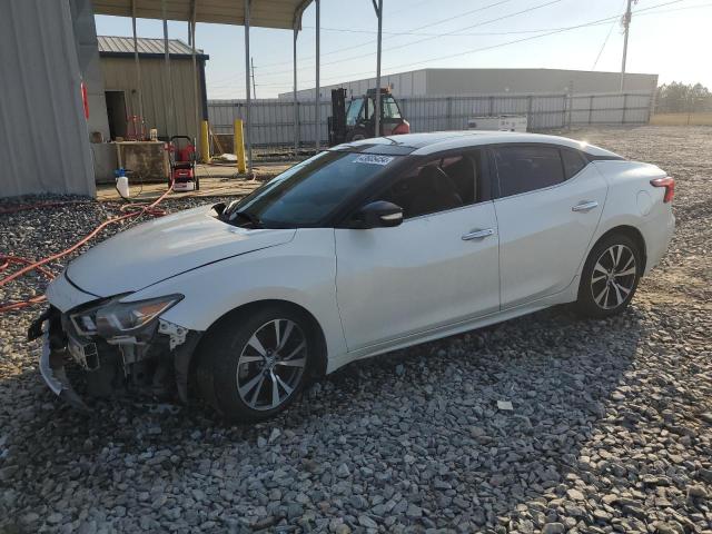 NISSAN MAXIMA 3.5 2016 with VIN 1N4AA6AP7GC436889 - Photo from auction