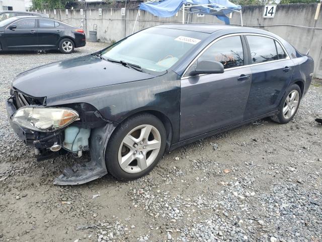 CHEVROLET MALIBU LS 2010 with VIN 1G1ZA5EB3AF193179 - Photo from auction
