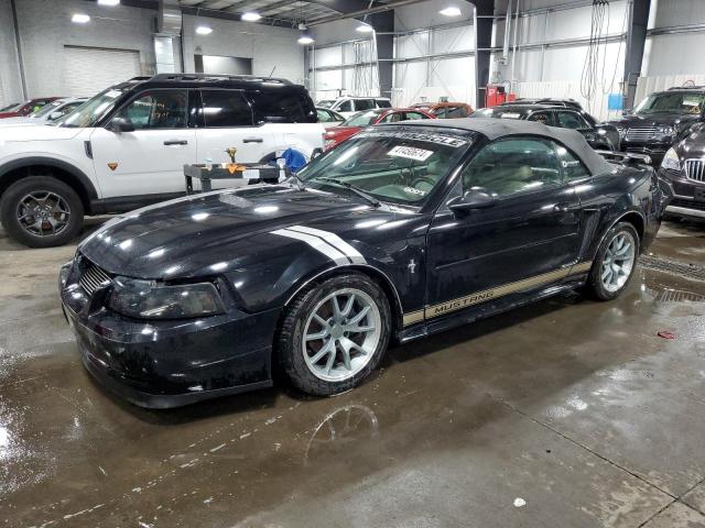 FORD MUSTANG 2002 with VIN 1FAFP44482F189948 - Photo from auction