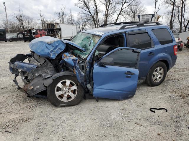 FORD ESCAPE XLT 2009 with VIN 1FMCU03G79KA04327 - Photo from auction
