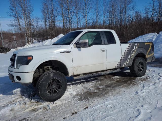 FORD F150 SUPER 2013 with VIN 1FTFX1EF6DFA32866 - Photo from auction