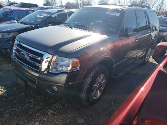 FORD EXPEDITION 2010 with VIN 1FMJU1G5XAEB21215 - Photo from auction