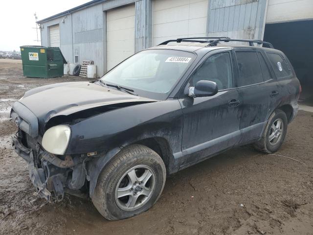 HYUNDAI SANTA FE G 2003 with VIN KM8SC73D03U502295 - Photo from auction