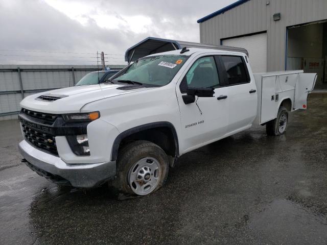 CHEVROLET SILVERADO 2023 with VIN 1GB1YLE75PF110378 - Photo from auction