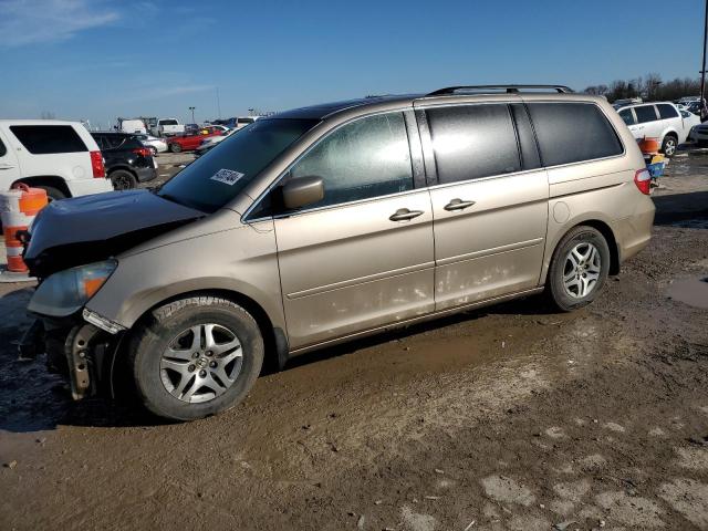 HONDA ODYSSEY EX 2006 with VIN 5FNRL38676B429588 - Photo from auction