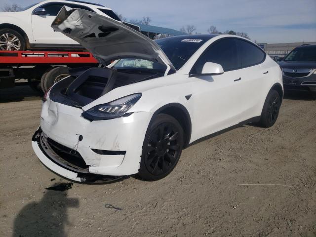 TESLA MODEL Y 2023 with VIN 7SAYGDEE0PA033991 - Photo from auction