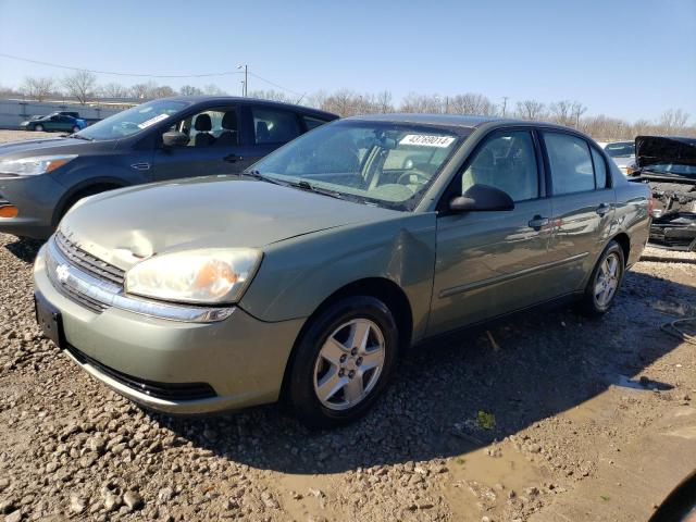 CHEVROLET MALIBU LS 2004 with VIN 1G1ZT52854F137851 - Photo from auction