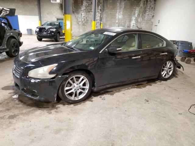 NISSAN MAXIMA S 2010 with VIN 1N4AA5AP6AC834533 - Photo from auction