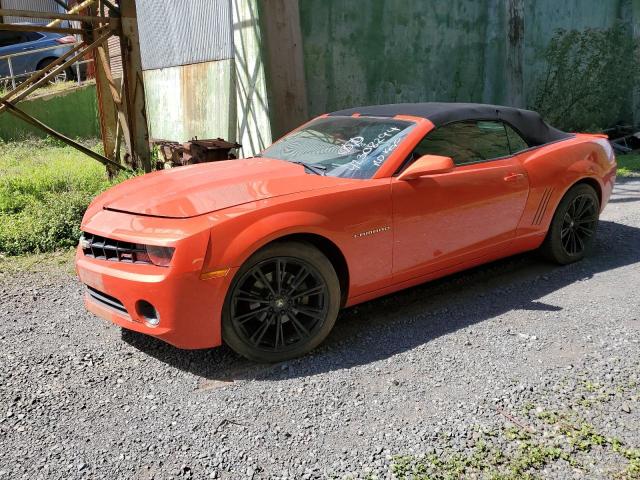 CHEVROLET CAMARO LT 2011 with VIN 2G1FC3DD8B9168406 - Photo from auction