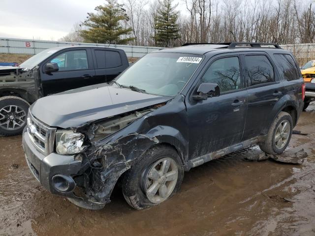 Photo 1 from auction – 2009 FORD ESCAPE XLT with VIN 1FMCU03759KD06120