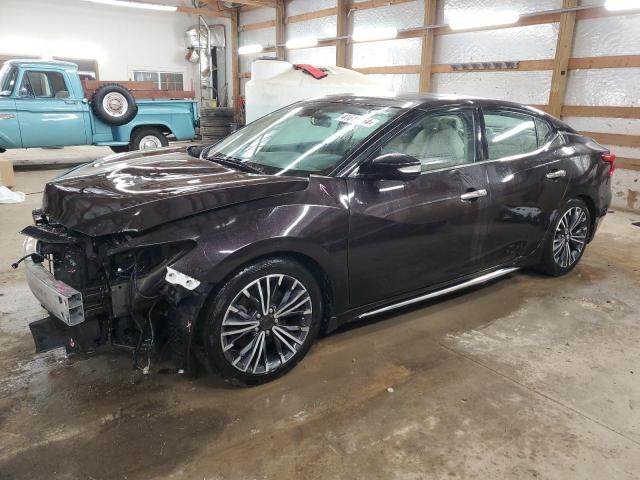 NISSAN MAXIMA 3.5 2017 with VIN 1N4AA6AP4HC435698 - Photo from auction