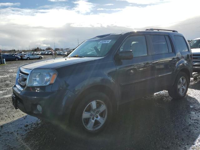 HONDA PILOT EXL 2009 with VIN 5FNYF48549B031839 - Photo from auction