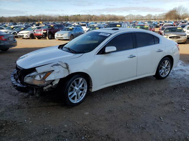 NISSAN MAXIMA S 2009 with VIN 1N4AA51E59C842164 - Photo from auction
