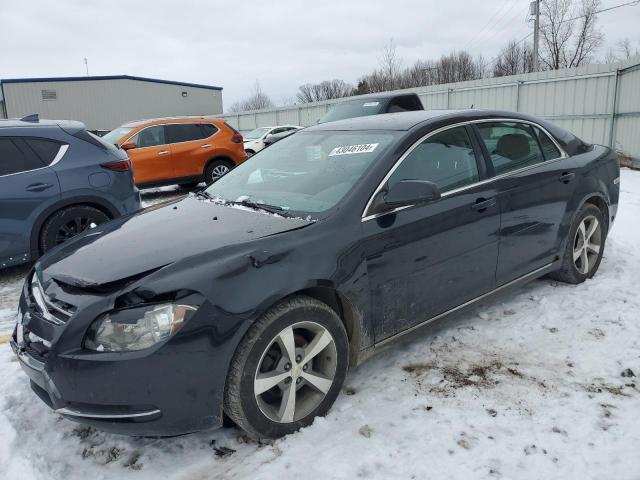 CHEVROLET MALIBU 1LT 2011 with VIN 1G1ZC5E10BF307237 - Photo from auction