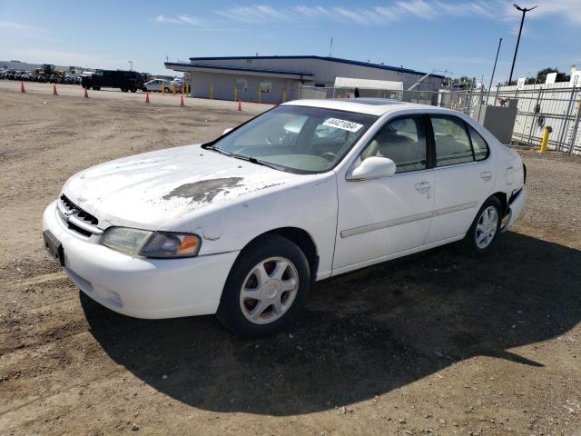 NISSAN ALTIMA XE 1998 with VIN 1N4DL01D1WC260737 - Photo from auction