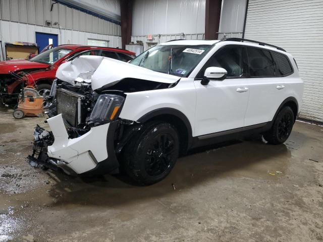 KIA TELLURIDE 2023 with VIN 5XYP5DGCXPG363403 - Photo from auction