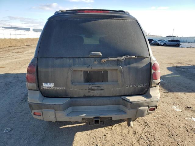 Photo 6 from auction – 2004 CHEVROLET TRAILBLAZE with VIN 1GNET16SX46157086