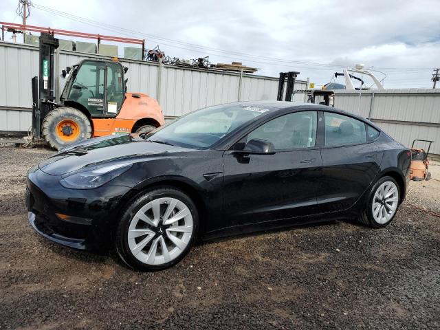 TESLA MODEL 3 2023 with VIN 5YJ3E1EA5PF430804 - Photo from auction