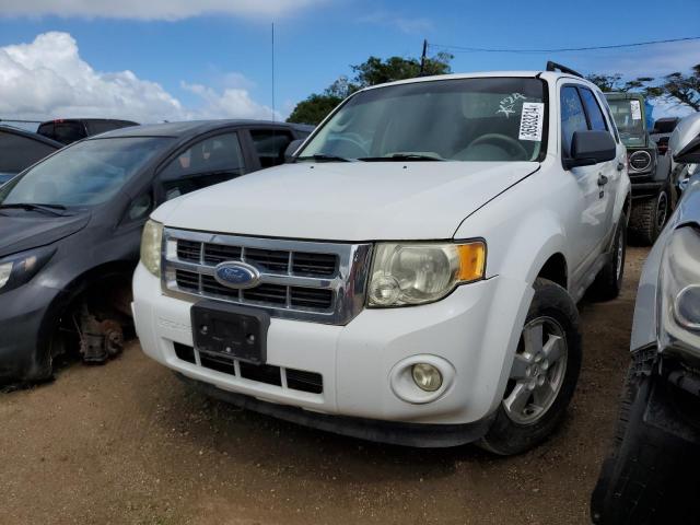 FORD ESCAPE XLT 2009 with VIN 1FMCU937X9KC24565 - Photo from auction