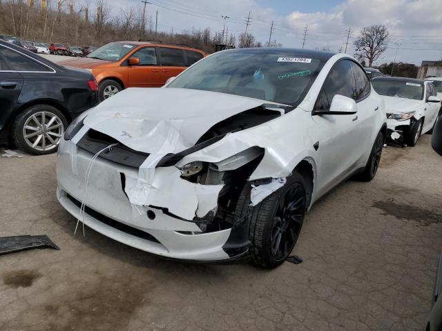 TESLA MODEL Y 2023 with VIN 7SAYGDEE2PA119609 - Photo from auction