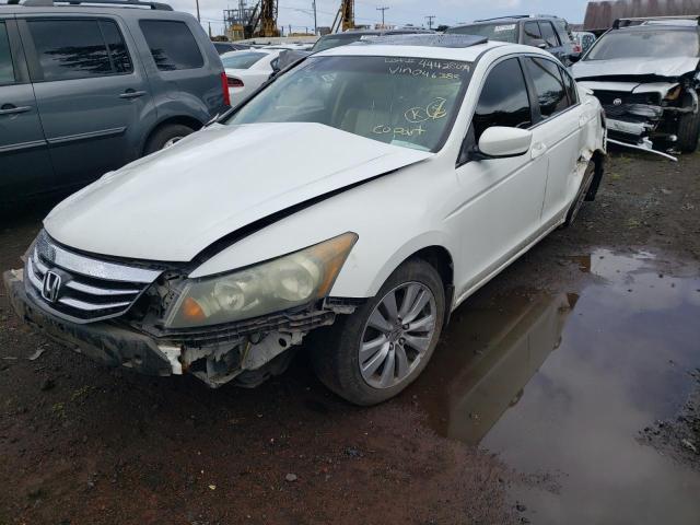 HONDA ACCORD EXL 2011 with VIN 1HGCP2F8XBA046385 - Photo from auction