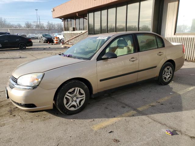 CHEVROLET MALIBU 2005 with VIN 1G1ZS52F95F244730 - Photo from auction
