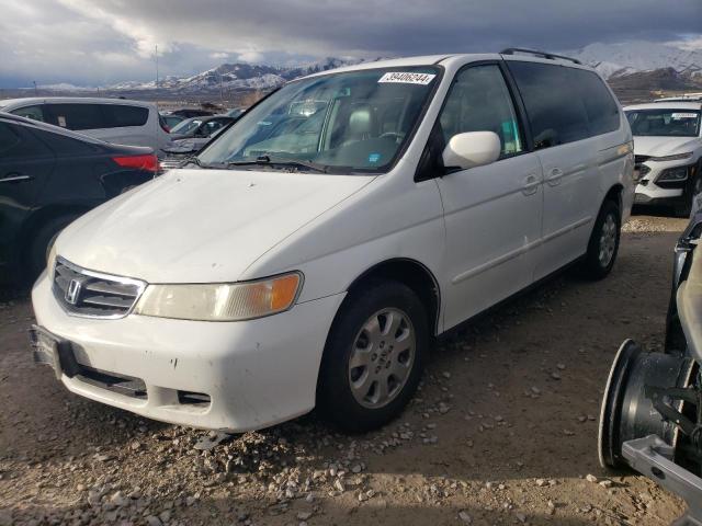 HONDA ODYSSEY EX 2002 with VIN 5FNRL18002B025557 - Photo from auction