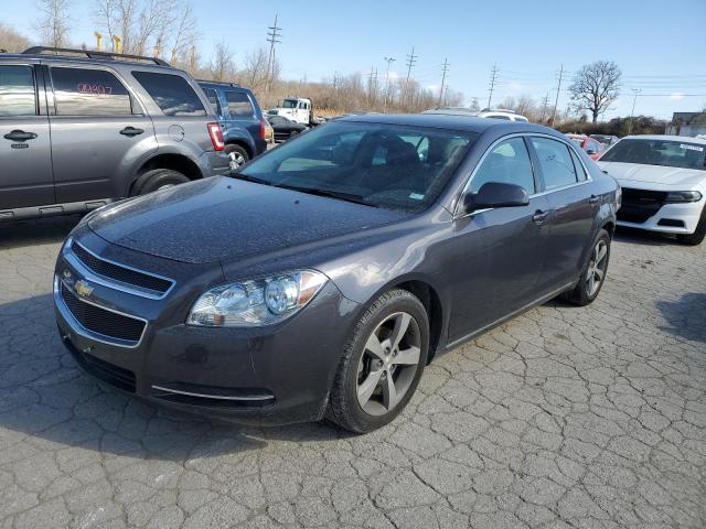 CHEVROLET MALIBU 1LT 2011 with VIN 1G1ZC5E19BF241688 - Photo from auction