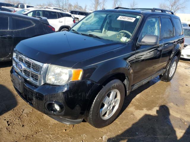 FORD ESCAPE XLT 2010 with VIN 1FMCU0DG5AKD32722 - Photo from auction