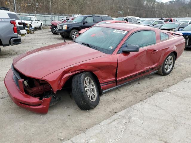 FORD MUSTANG 2005 with VIN 1ZVFT80N255143759 - Photo from auction