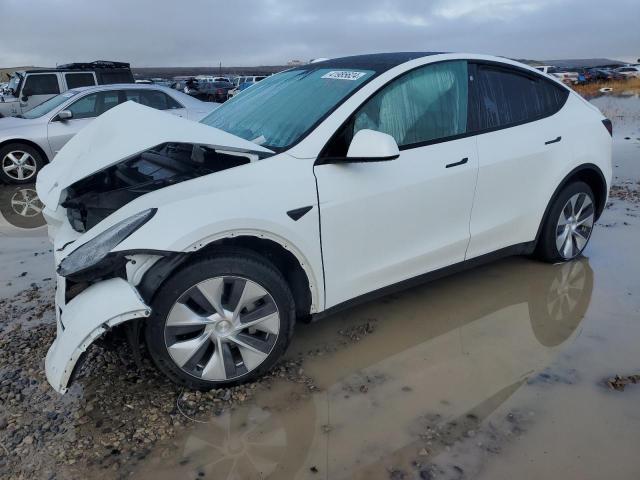 TESLA MODEL Y 2023 with VIN 7SAYGDEE1PF600356 - Photo from auction